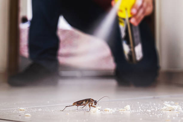 Best Commercial Pest Control Services  in Lindenwold, NJ